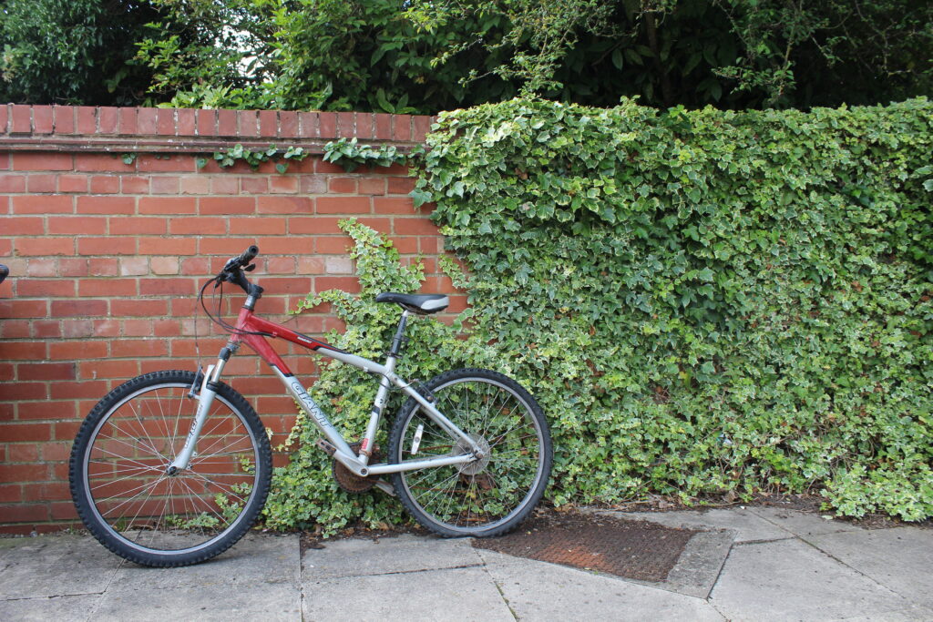 Bicycle leaning agains a red brick wall and green vine covering part of the wall