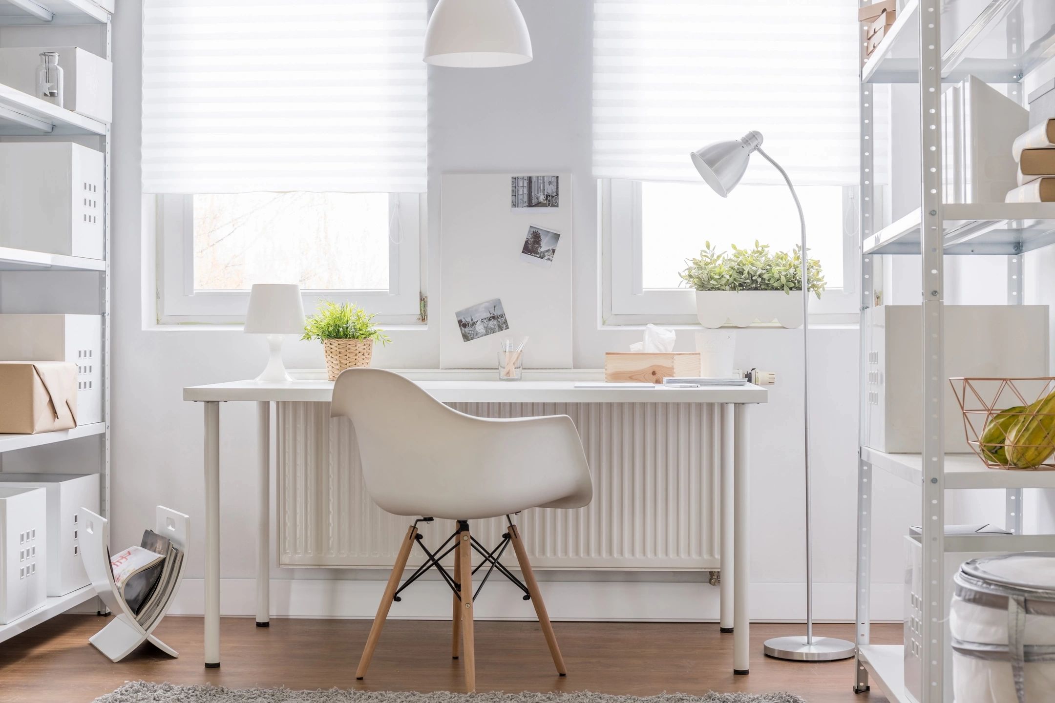 minimalist white space